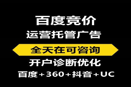 百度SEO推广成功案例：品牌知名度提升